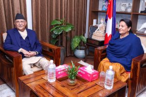 पार्टी राजनीतिमा आउने चर्चाबीच प्रधानमन्त्री र पूर्व राष्ट्रपति विद्या भण्डारीको अर्थपूर्ण भेटवार्ता
