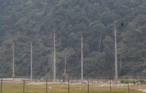 गिद्ध संरक्षण गर्न तनहुँ जलविद्युत आयोजनाले बनायो आरामस्थल