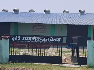 कार्यविधि अभावमा प्रयोगविहीन बन्यो कृषिउपज संकलन केन्द्र