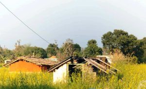 ढोकामा ताला झुण्ड्याएर भारत हिँडे  गुन्यालफाँटाका बादी परिवार, सरकार छ भन्ने महशुस गर्न पाएनन्