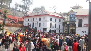 पशुपतिनाथ मन्दिरमा महाशिवरात्रिको चहलपहल (फाेटाेफिचर)