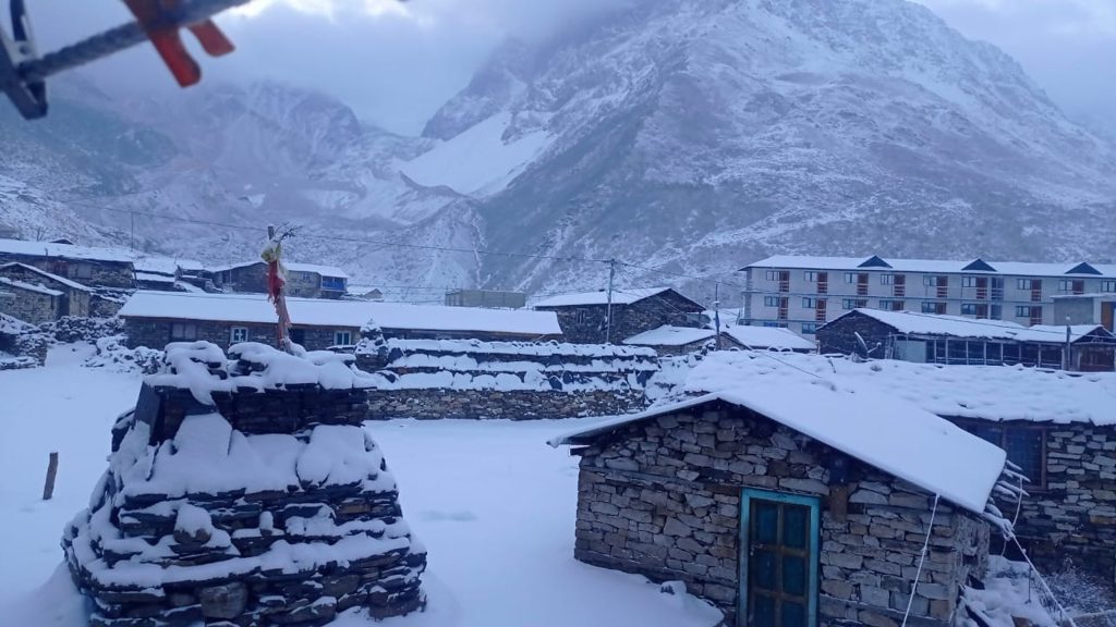 उत्तरी गोरखाको नुब्री भ्यालीमा बाक्लो हिमपात, पर्यटकलाई समस्या