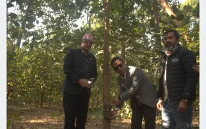 बाघ अनुगमन गर्न कम्दी करिडोरमा ९५ वटा क्यामेरा जडान