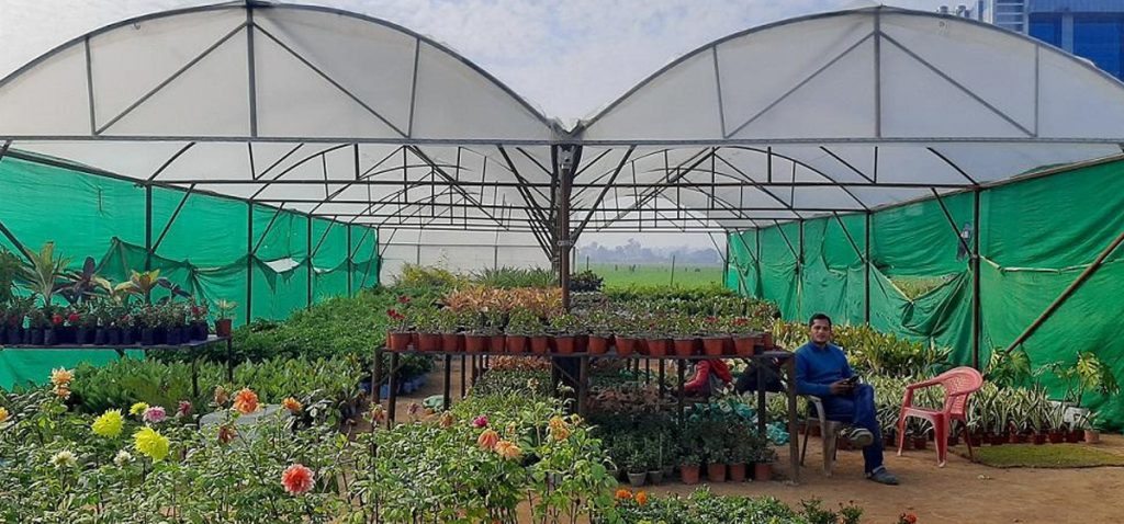 नर्सरी व्यवसायमा विश्वकर्माको ५० लाख लगानी, मासिक बचत ४० हजार
