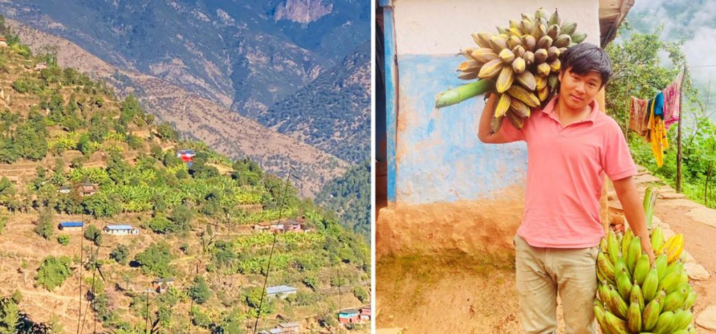 फलफूलखेतीमा डेढ करोड लगानी गरेका पुन, दिउँसो बिरामी हेर्छन् फुर्सदमा बारी