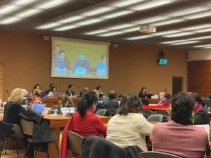 नेपाली एकल महिलाको मुद्दा राष्ट्रसङ्घीय ‘सिड’ कमिटीमा प्रवेश