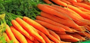 चितवनको अर्ग्यानिक गाजर र चुकन्दर जर्मन निर्यात