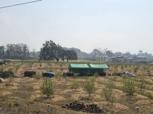 सिभिल इन्जिनियरिङ गरेर व्यावसायिक कागतीखेतीमा रमाउँदै प्रतीक