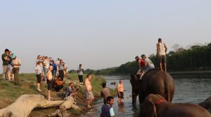 मुख्य याममै सौराहामा आएनन् पर्यटक