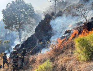 पाल्पामा एक सातादेखि लागेको डढेलो अझै नियन्त्रणमा आएन, चार सामुदायिक वनमा फैलियो