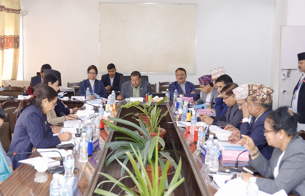 दुईवटा दफालाई यथावत राखि भन्सार विधेयकमाथि छलफल