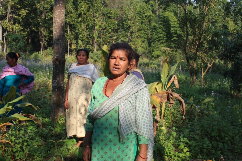 वनको खाली जग्गामा अदुवा, बेसार र जडीबुटीखेती , मनग्य आम्दानी गर्दै महिला