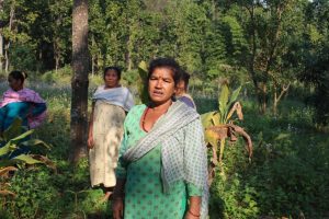 वनको खाली जग्गामा अदुवा, बेसार र जडीबुटीखेती , मनग्य आम्दानी गर्दै महिला