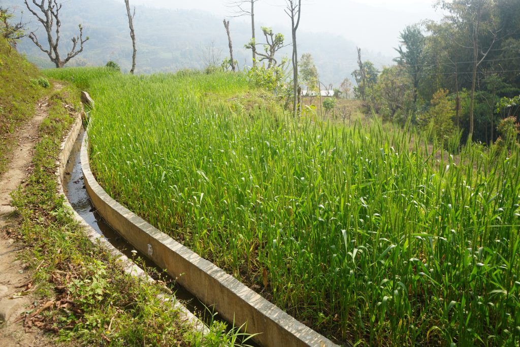 साना सिँचाइ आयोजनाले किसानलाई राहत, सिँचाइ सुविधा भएसँगै तीन बाली खेती