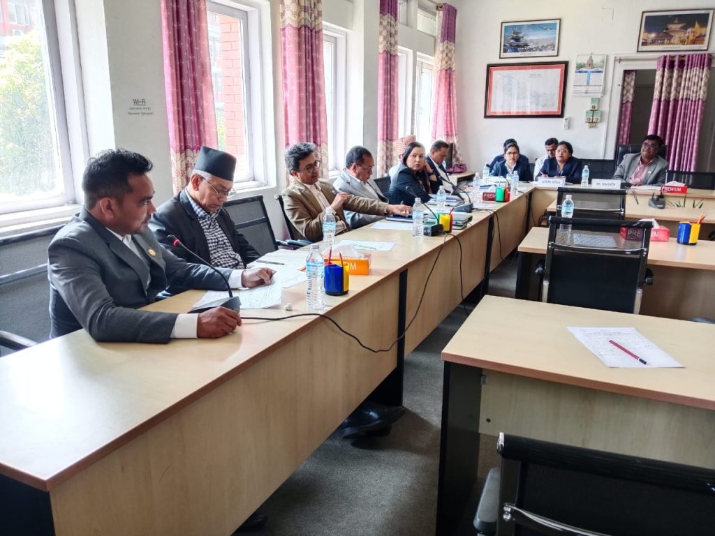 इन्डोनेशिया र फ्रान्ससँग हवाई सम्झौता अघि बढाइएको छ:मन्त्री पाण्डे