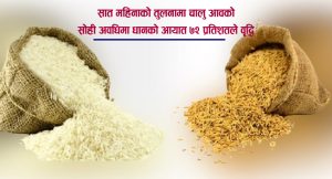 सात महिनामा आठ अर्ब ६८ करोड मूल्य  बराबरकाे धान–चामल आयात