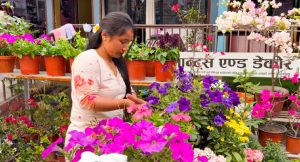 फूल बिक्री गरेरै मासिक दुई लाख आम्दानी