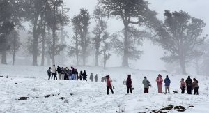 हिउँ खेल्न पर्यटक पातिहाल्नेमा