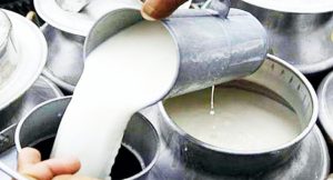 दूधमा आत्मनिर्भर उन्मुख बन्दै मधेस प्रदेश