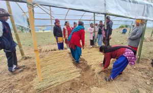  किसानलाई तालिमसँगै कृषि सामग्री हस्तान्तरण