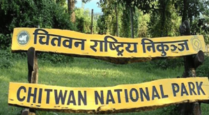 निकुञ्ज प्रभावितलाई सवा करोड बढी राहत