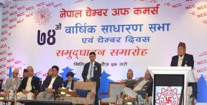 सरकारले रेमिट्यान्सलाई उत्पादनमुलक क्षेत्रमा लगाउने व्यवस्था गर्नुपर्छ : अध्यक्ष अग्रवाल