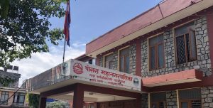 कृषकलाई चैते धानको बीउ अनुदानमा