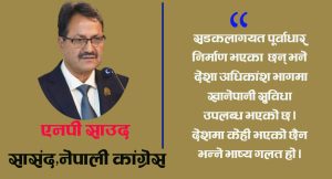 संविधान संशोधन गरी सङ्घीय र प्रदेश मन्त्रालय र सांसदको सङ्ख्या घटाउनुपर्छ