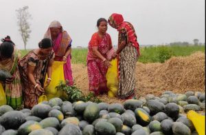 पूर्वीनाकाबाट चार करोड ६० लाखको खरबुजा भित्रियो