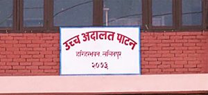 डिजिटल मिडियाको अनुगमन र कारबाही काउन्सिलको क्षेत्राधिकार भएको ठहर