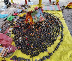 रुरु क्षेत्रमा ‘शालिग्राम महोत्सव’
