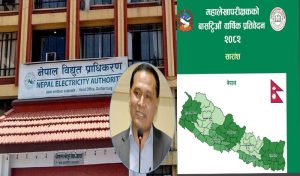 प्राधिकरणले झन्डै ९१ करोड तिर्न बाँकी, जलविद्युत कम्पनीले बुझाएनन् ४३ करोड बढी रोयल्टी