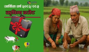 मल खरिदका लागि २८ अर्ब विनियोजन
