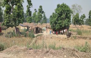 चौबीस वर्षदेखि न्यायको पखाईमा शुक्लाफाँटा आरक्ष विस्थापित