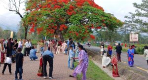 ढकमक्क फुलेका गुलमोहरले पर्यटकलाई लोभ्यायो