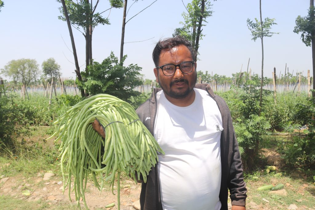 व्यावसायिक तरकारी खेतीमा रमाएका महेन्द्रले वार्षिक दुई करोड बढीको तरकारी उत्पादन गर्दै