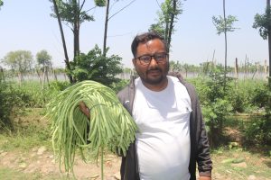 व्यावसायिक तरकारी खेतीमा रमाएका महेन्द्रले वार्षिक दुई करोड बढीको तरकारी उत्पादन गर्दै