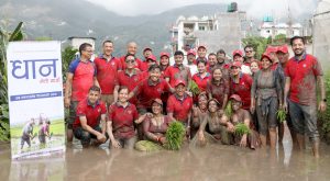 ग्लोबल आइएमई बैंकद्वारा राष्ट्रिय धान दिवसको अवसरमा “धान खेती कर्जा” सार्वजनिक, २० लाख रुपैयाँसम्म कर्जा पाउन सकिने