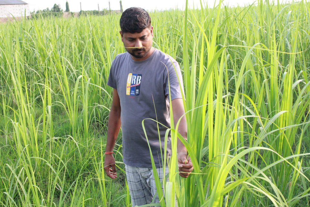 उखु किसानलाई १ अर्ब ६० करोड अनुदान उपलब्ध गराउन माग