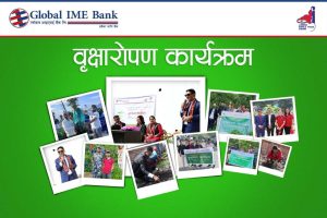 ग्लोबल आइएमई बैंकद्वारा टोखा र दिक्तेल रुपाकोट मझुवागढी नगरपालिकामा बृक्षारोपण