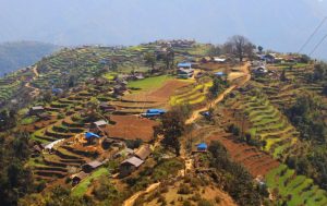 डेढ दशकभन्दा अगाडिदेखिका आयोजना अधुरै गाउँभर खानेपानी समस्या