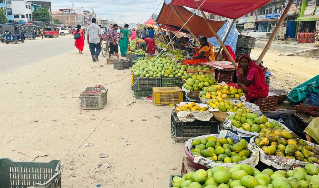 आँपको सुवासले मगमगाइरहको छ सिरहा, चिस्यान केन्द्र नहुँदा समस्या