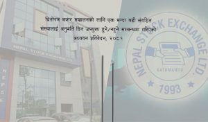 नेप्सेको पुनरसंरचनामा सरकार आफैं बाधक, विकल्पमा नयाँ स्टक एक्सचेन्ज