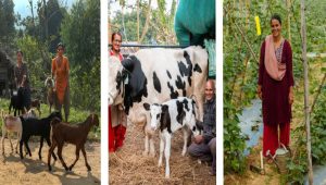जलवायुमैत्री कृषिमा बढ्दो आकर्षणले उकासिदै ग्रामिण अर्थतन्त्र