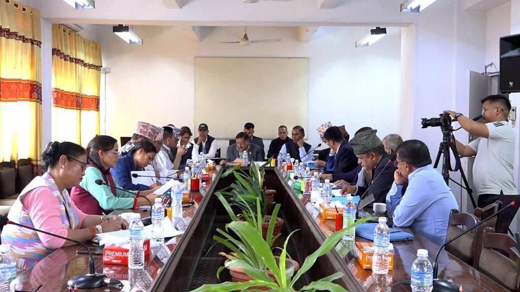 ‘ट्रेजरीभन्दा बाहिरको स्रोत व्यवस्थापन गर्न वैकल्पिक विकास वित्त आवश्यक ’