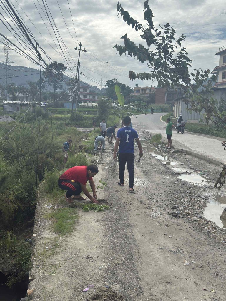 सडकमै केराको बोट रोपेर विरोध