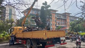 सिंहदरबार भित्रका सवारी हटाइँदै, साना ठूला ६ सय जलेका सवारीको व्यवस्थापन