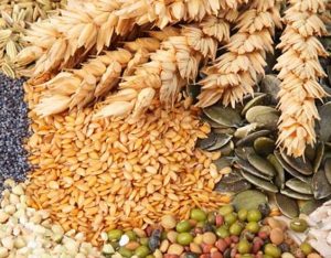 आज विश्व खाद्य दिवस मनाइँदै