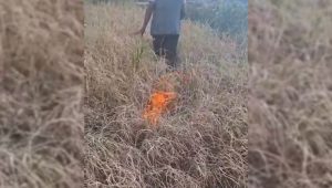 धान नफलेपछि किसानले खेतमै लगाए आगो, भोकमरीको त्रासमा मुगुका जनता