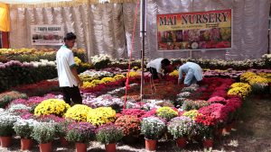 गोदावरी पुष्प मेला २०८२ सम्पन्न, पाँच दिनमा १ करोड ३२ लाखको कारोबार
